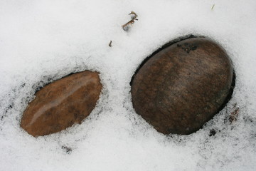 Steine im Schnee