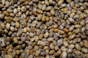 Fermented beans. Cheonggukjang or Natto