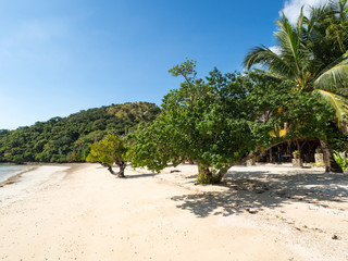 Fototapeta na wymiar Tropical beach with palm trees, blue sky, turquoise water and white sand. Paradise. Philippines, Palawan, Banana island. Wide angle, horizontal. November, 2018