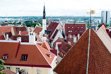 Tallin
