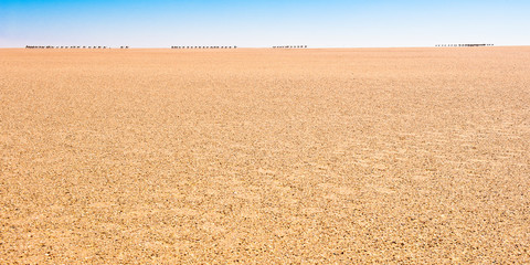 Fototapeta na wymiar Hinterm Hoizont gehts weiter - Große Salzkarawane in der Sahara