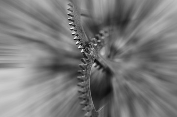 Black and white photography. Metal Cogwheels in clock mechanism , abstract sun beams, Concept Movement is life, Teamwork , Idea Technology, Infinity, Time. Macro