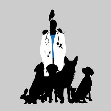 Illustration of icon veterinary. Vector silhouette on white background. Symbol urgency for animal.