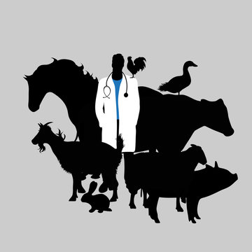 Illustration of icon veterinary. Vector silhouette on white background. Symbol urgency for animal.