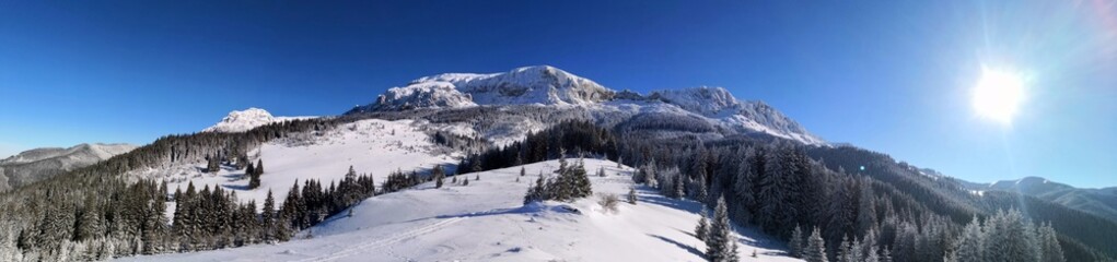 Fototapeta na wymiar Panoramic winter landscape in the mountains.