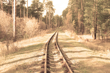 Fototapeta na wymiar The railway goes throught forest