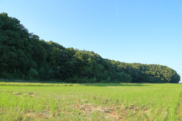 爽やかに晴れた秋の里山