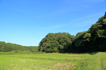 爽やかに晴れた秋の里山