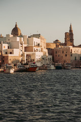 Fototapeta premium View of scenic city scape and a fishing harbor with marina in Monopoli, Italy