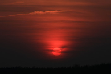 Naklejka na ściany i meble Red sun in the gray sky over the forest at sunset