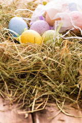 Traditional Easter eggs and decoration on wooden background