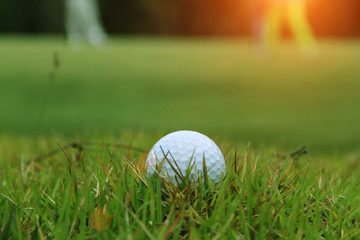 Blurred golf ball on green in the evening golf course with sunshine in thailand