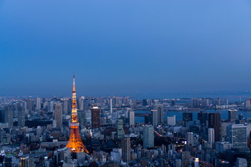 Naklejka premium 東京の夜景