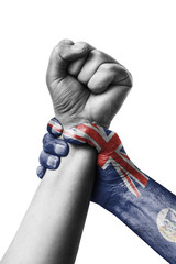 Fist painted in colors of falkland islands flag, fist flag, country of falkland islands