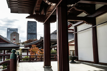 Fototapeta premium 増上寺と東京の街並み