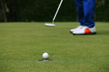Obraz premium Golfer putting golf ball on the green golf
