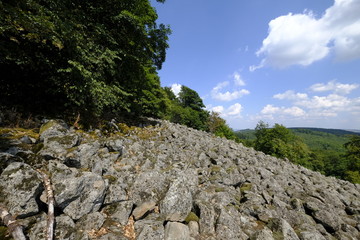 Blockschutthalden und Naturwaldreservat am Schafstein, Biosphärenreservat Rhön, Hessen, Deutschland