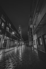 Tourning Torso at Night