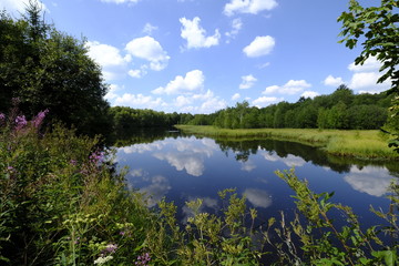 Das Naturschutzgebiet 