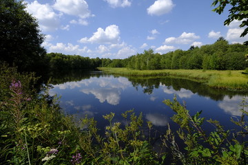 Das Naturschutzgebiet 
