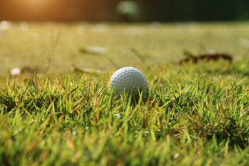 Golf ball close up in golf coures at Thailand
