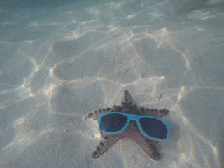 Fototapeta na wymiar Sea star and sun glasses