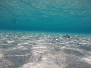 Underwater fun and remarkable moments