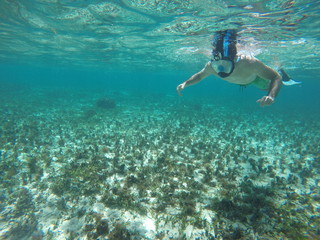 Snorkeling and underwater man