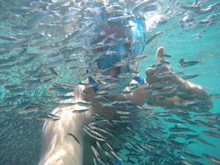 Snorkeling and underwater man