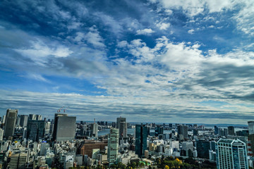 Fototapeta na wymiar 東京タワー展望台から見える東京の街並み