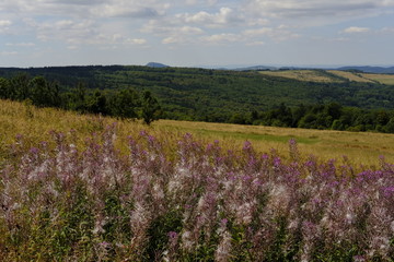Landschaft am Ellenbogen, Biosphärenreservat Rhön, Thüringen, Deutschland