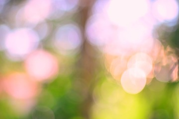 light bokeh blurred background