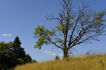 Der Eisgraben in der Nähe des NSG „Schwarzes Moor