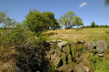 Der Eisgraben in der Nähe des NSG „Schwarzes Moor