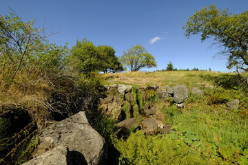 Der Eisgraben in der Nähe des NSG „Schwarzes Moor", Biosphärenreservat Rhön, Unterfranken, Franken, Bayern, Deutschland