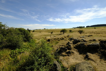Der Eisgraben in der Nähe des NSG „Schwarzes Moor