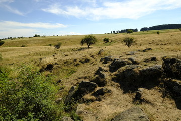 Der Eisgraben in der Nähe des NSG „Schwarzes Moor
