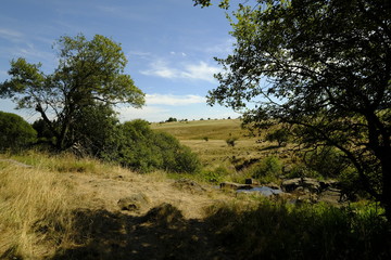 Der Eisgraben in der Nähe des NSG „Schwarzes Moor
