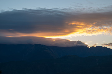 Nature background in Alishan National Park, Taiwan on a wet and foggy morning