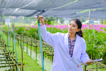 A young woman researcher in a white dress and explores the garden before planting a new orchid.