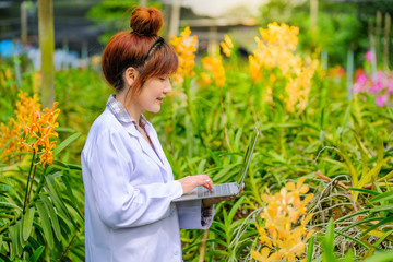 Women's Orchid Researchers are exploring and documenting the characteristics of orchids in the garden.