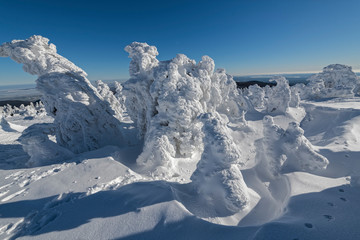 Fototapeta na wymiar Brocken Harz Winter Skulpturen
