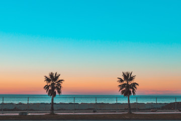 Obraz premium Sunset and palm trees on the beach. Travelling and vacation 
