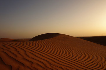 Fototapeta na wymiar Desert Sand Dune
