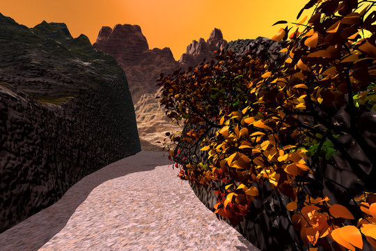 Canyon, a rocky landscape, beautiful tree with red and yellow leaves, rocks in the background and orange colored sky.