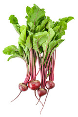 young beets on white background