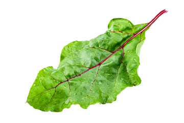 fresh beet leaf