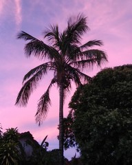 Obraz premium Pink sky