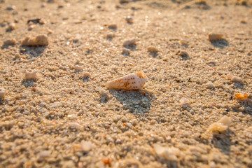 background sea in Thailand