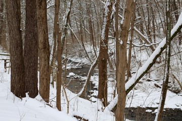 A view of the creek though the branches in the snowy woods.